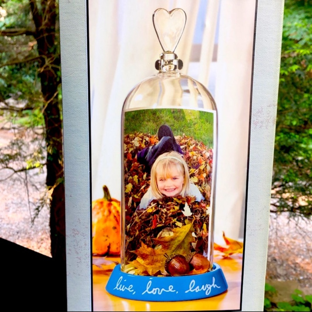 Bell Cloche Clear Glass Dome Display Collectibles or Photo